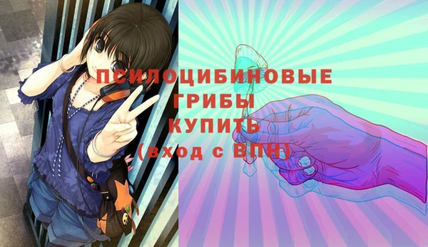 прущие грибы Алексин