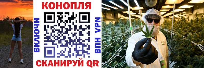 mega   Суджа  Марихуана Bruce Banner 